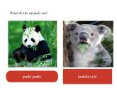 【公开课】人教新目标英语七下Unit 5 Why do you like pandas 第五课时 Section B (3a- Self Check) 课件+教案