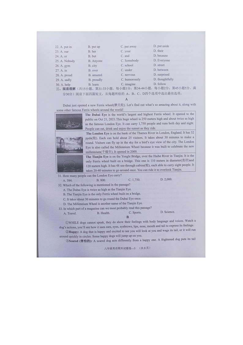 浙江省金华市金东区2023-2024学年八年级上学期期末检测英语试题03