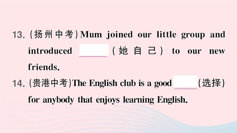 2024届九年级英语全册专题复习二词汇句子作业课件新版人教新目标版第6页