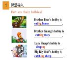 外研版八年级英语下册同步精品课件  6.3 Unit 2 Hobbies can make you grow as a person（课件）
