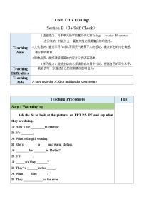 初中英语人教新目标 (Go for it) 版七年级下册Section B表格教案