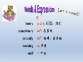 2024年（冀教版）七年级下册英语课件Lesson 22 Big Plans for the Weekend