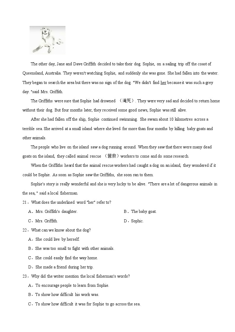 山东省青岛市2024年九年级下学期开学考试英语试卷含答案03