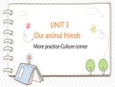 沪教牛津英语七下 Module 2 Unit 3 More practice - culture corner PPT课件