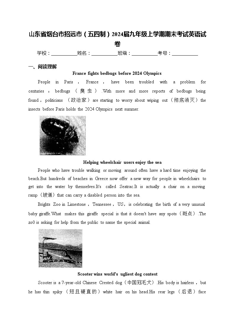 山东省烟台市招远市（五四制）2024届九年级上学期期末考试英语试卷(含答案)第1页