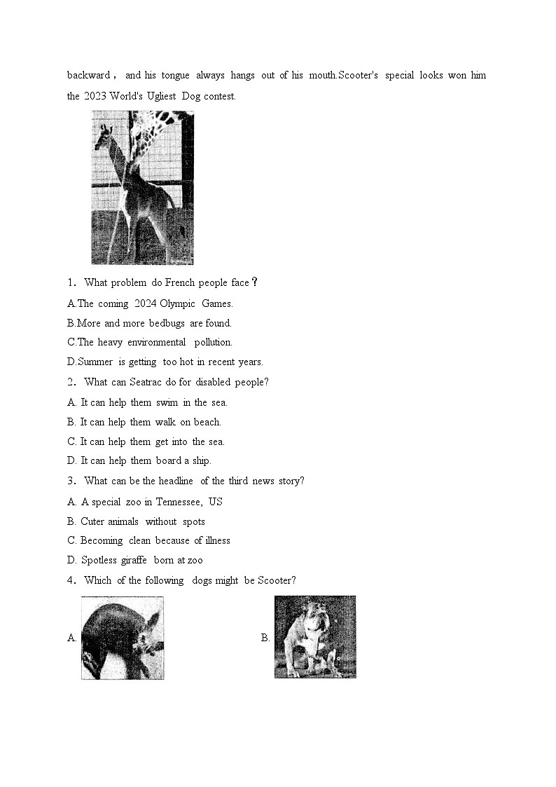 山东省烟台市招远市（五四制）2024届九年级上学期期末考试英语试卷(含答案)第2页