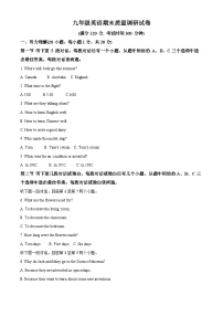 河南省信阳市平桥区2023-2024学年九年级上学期期末英语试题（原卷+解析）