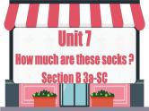 Unit 7 第5课时 (Section B 3a-SC) 教学课件-七年级英语上册同步备课系列(人教新目标Go for it!)