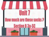 Unit 7 第5课时 (Section B 3a-SC) 教学课件-七年级英语上册同步备课系列(人教新目标Go for it!)