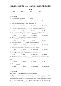 河北省沧州市海兴县2023-2024学年九年级上学期期末英语试题(含答案)