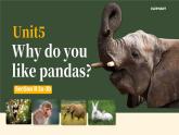 人教版初中英语七年级下册Unit5 Why do you like pandas？SetionB 2a-2c阅读课课件