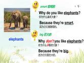 unit5 section a 1a-2d  why do you like pandas sectiona课件2023-2024学年人教版七年级英语