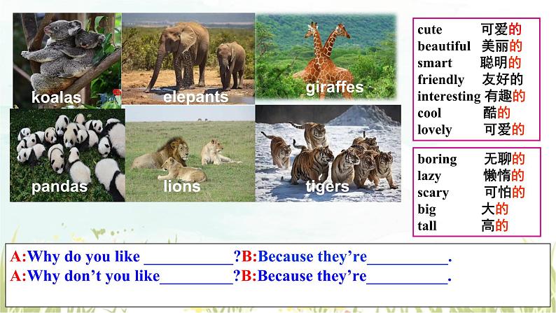 unit5 section a 1a-2d  why do you like pandas sectiona课件2023-2024学年人教版七年级英语第7页