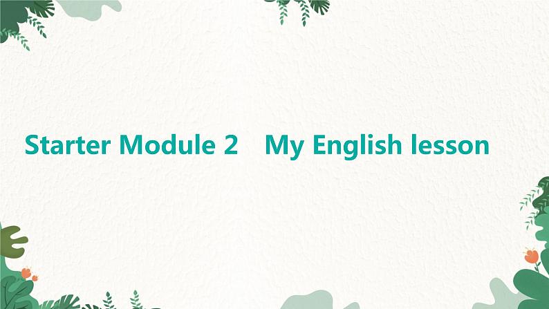 外研版英语七年级上册 Starter Module 2MyEnglish lesson课件01