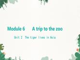 外研版英语七年级上册 Module 6 A trip to the zooUnit 2 The tiger lives in Asia课件