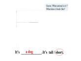 人教新目标英语七下Unit 9  What does he look like 第二课时 Section A （Grammar Focus -3d）课件+教案+素材包