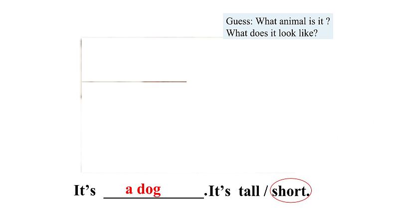 人教新目标英语七下Unit 9 What does he look like. 第二课时 SectionA（Grammar Focus-3d）课件第5页