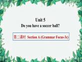 人教新目标版英语七年级上册 Unit 5 Do you have a soccer ball第二课时Section A (Grammar Focus-3c)课件