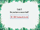 人教新目标版英语七年级上册 Unit 5 Do you have a soccer ball第三课时Section B (1a-1d)课件