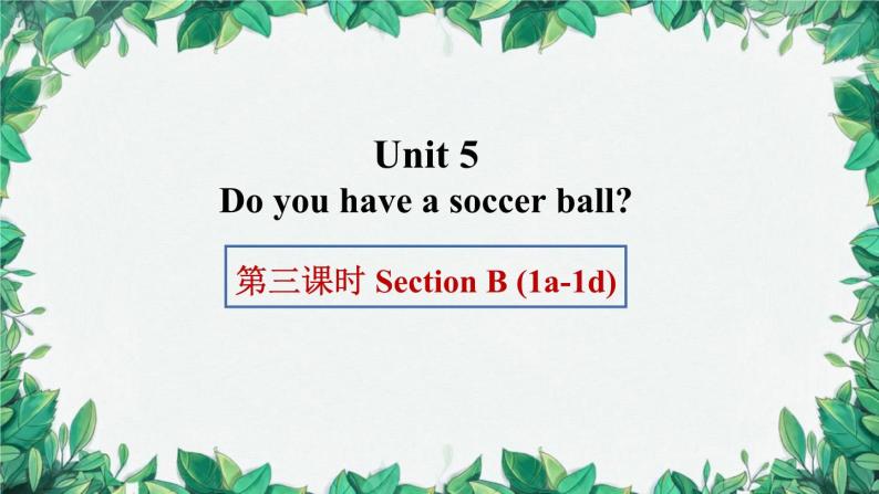 人教新目标版英语七年级上册 Unit 5 Do you have a soccer ball第三课时Section B (1a-1d)课件01