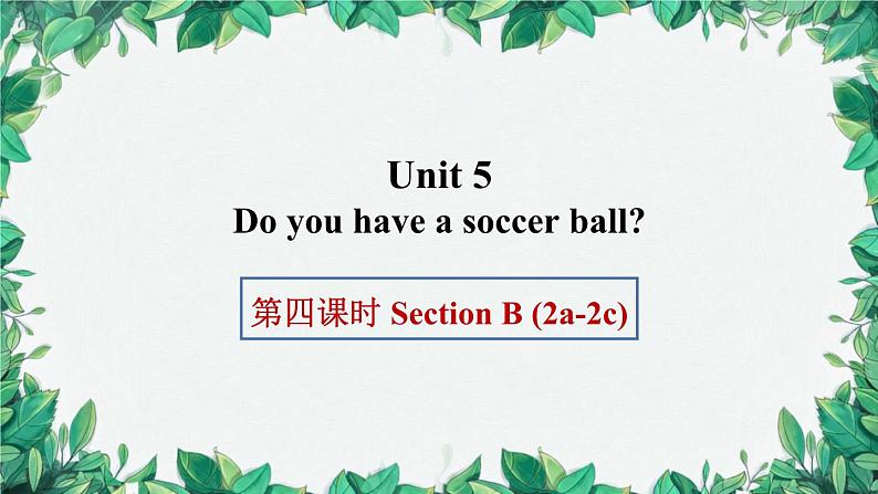 人教新目标版英语七年级上册 Unit 5 Do you have a soccer ball第四课时Section B (2a-2c)课件第1页