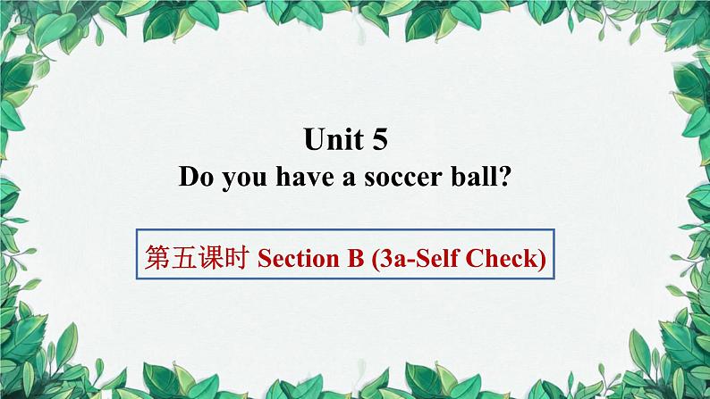 人教新目标版英语七年级上册 Unit 5 Do you have a soccer ball第五课时Section B (3a-Self Check)课件第1页