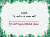 人教新目标版英语七年级上册 Unit 5 Do you have a soccer ball第五课时Section B (3a-Self Check)课件