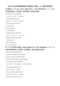 河南省周口市项城市2023-2024学年九年级上学期期末英语试题（原卷+解析）