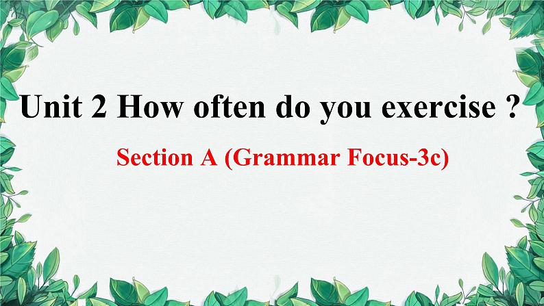 人教新目标(Go for it)版八年级上册Unit 2 How often do you exercise Section A (Grammar Focus-3c)课件第1页