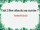 人教新目标(Go for it)版八年级上册Unit 2 How often do you exercise Section B (2a-2e)课件