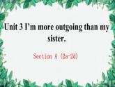 人教新目标(Go for it)版八年级上册Unit 3 I’m more outgoing than my sister.Section A (2a-2d)课件