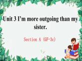 人教新目标(Go for it)版八年级上册Unit 3 I’m more outgoing than my sister.Section A (GF-3c)课件