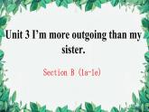 人教新目标(Go for it)版八年级上册Unit 3 I’m more outgoing than my sister.Section B (1a-1e)课件