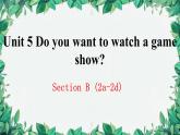 人教新目标(Go for it)版八年级上册Unit 5 Do you want to watch a game show Section B (2a-2d)课件