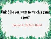 人教新目标(Go for it)版八年级上册Unit 5 Do you want to watch a game show Section B (3a-Self Check)课件