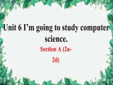 人教新目标(Go for it)版八年级上册Unit 6 I’m going to study computer science.Section A (2a-2d)课件