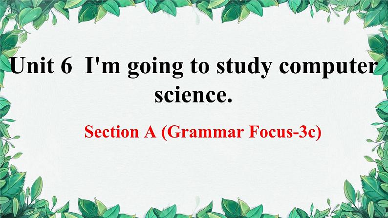 人教新目标(Go for it)版八年级上册Unit 6I'm going to study computer science.Section A (Grammar Focus-3c)课件01