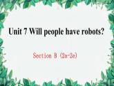 人教新目标(Go for it)版八年级上册Unit 7 Will people have robots Section B (2a-2e)课件