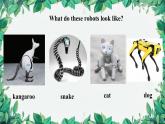 人教新目标(Go for it)版八年级上册Unit 7 Will people have robots Section B (2a-2e)课件
