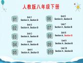 人教版八下Unit 8 Have you read Treasure Island yet？ SectionB词汇精讲 课件