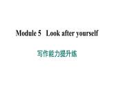 外研版英語九下 Module 5 寫作能力提升練課件PPT