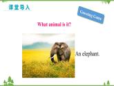 人教新目标版英语七年级下册 Unit 5 Why do you like pandas-Section A Grammar Focus-3c（第2课时）课件