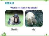 人教新目标版英语七年级下册 Unit 5 Why do you like pandas-Section B 1a-1d（第3课时）课件