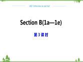 人教新目标版英语七年级下册 Unit 9 What does he look like-Section B 1a-1e（第3课时）课件