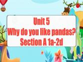 Unit 5 第1课时 (Section A 1a-2d)课件+教案 人教版英语七下