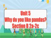 Unit 5 第4课时 (Section B 2a-2c) 课件+教案 人教版英语七下