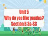 Unit 5 第5课时 (Section B 3a-SC)  课件+教案 人教版英语七下