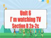 Unit 6 第4课时 (Section B 2a-2c) 课件+教案 人教版英语七下