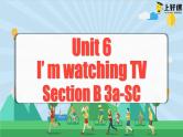 Unit 6 第5课时 (Section B 3a-SC) 课件+教案 人教版英语七下