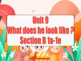 Unit 9 第3课时 (Section B 1a-1e) 课件+教案 人教版英语七下